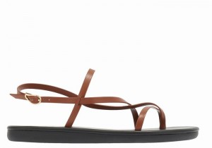 Ancient Greek Sandals Alethea Ženske Back-Strap Sandals Tamno Smeđe | RKT185II