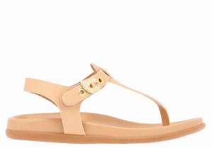 Ancient Greek Sandals Alki Flip Flop Ženske Back-Strap Sandals Bež | WMH6966CI