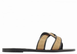 Ancient Greek Sandals Desmos Ženske Slide Sandale Smeđe Crne | HGG421QA