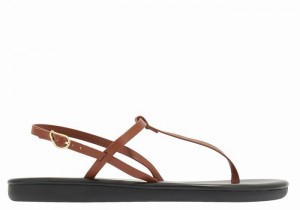 Ancient Greek Sandals Lito Flip Flop Ženske Back-Strap Sandals Tamno Smeđe | LPQ7139LR