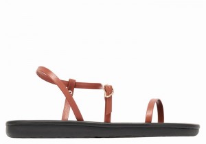 Ancient Greek Sandals Niove Ženske Back-Strap Sandals Tamno Smeđe | TOB9815ND