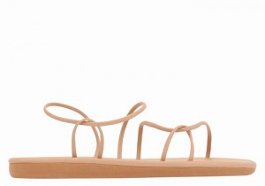 Ancient Greek Sandals Proorismos Ženske Back-Strap Sandals Bež | XEX7176OO