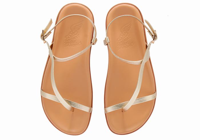 Ancient Greek Sandals Aimilia Ženske Back-Strap Sandals Zlatne Bijele | QFB8277MY