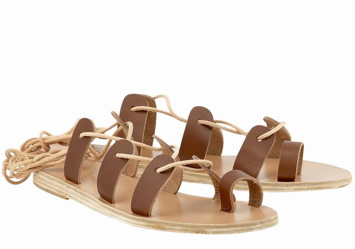 Ancient Greek Sandals Alcyone Leather Ženske Gladijatorske Sandale Tamno Smeđe | IBJ5474VO