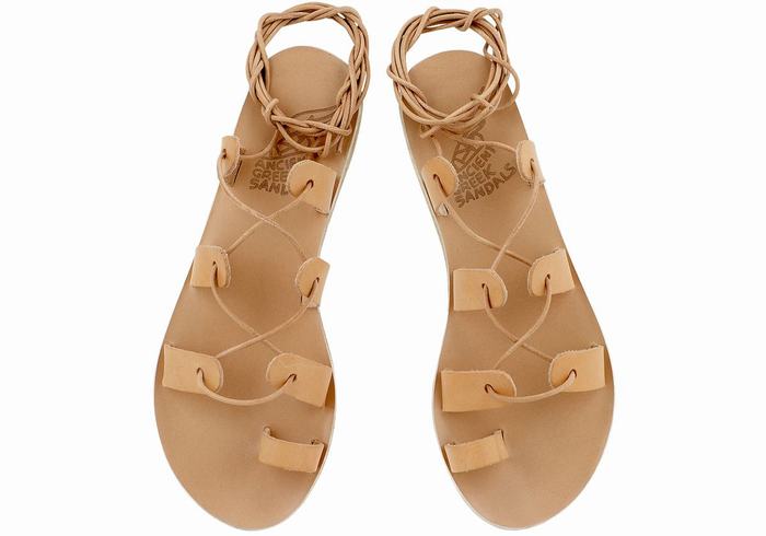 Ancient Greek Sandals Alcyone Leather Ženske Gladijatorske Sandale Bež | ZSS703ZU