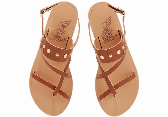 Ancient Greek Sandals Alethea Bee Ženske Back-Strap Sandals Tamno Smeđe | REW5039SY