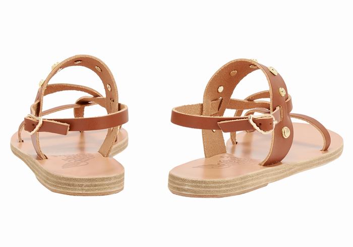 Ancient Greek Sandals Alethea Bee Ženske Back-Strap Sandals Tamno Smeđe | REW5039SY