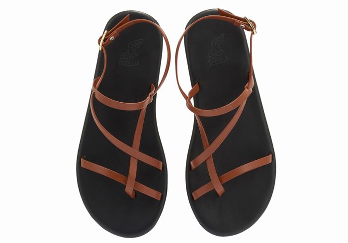 Ancient Greek Sandals Alethea Ženske Back-Strap Sandals Tamno Smeđe | RKT185II