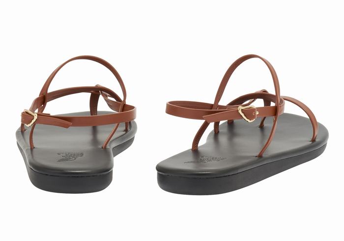 Ancient Greek Sandals Alethea Ženske Back-Strap Sandals Tamno Smeđe | RKT185II