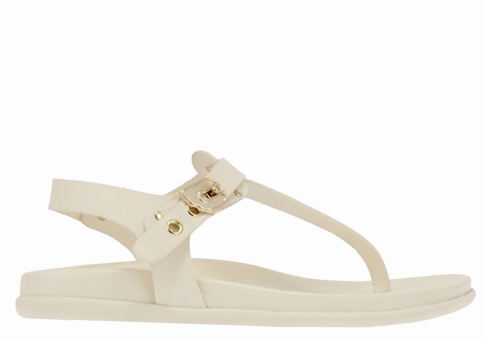 Ancient Greek Sandals Alki Flip Flop Ženske Back-Strap Sandals Bijele | AIM7683UF