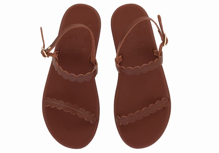 Ancient Greek Sandals Aroula Ženske Back-Strap Sandals Kafe | ZJA7670UX