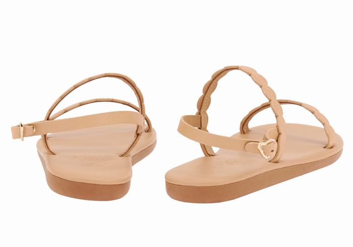 Ancient Greek Sandals Aroula Ženske Back-Strap Sandals Bež | PML658LH