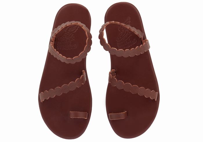 Ancient Greek Sandals Aura Ženske Toe-Post Sandals Kafe | GMP1349MG