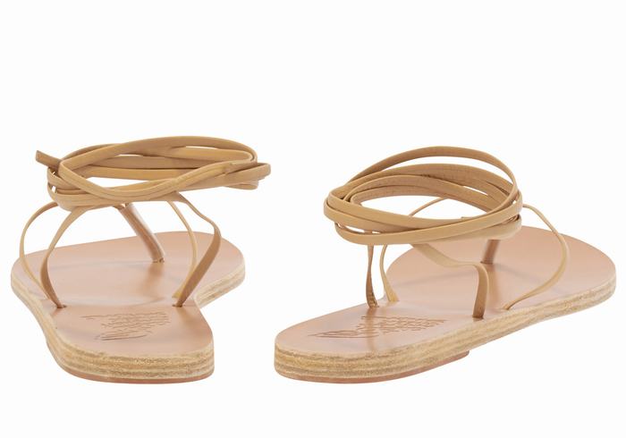 Ancient Greek Sandals Celia Ženske Gladijatorske Sandale Bež | MDL368UR