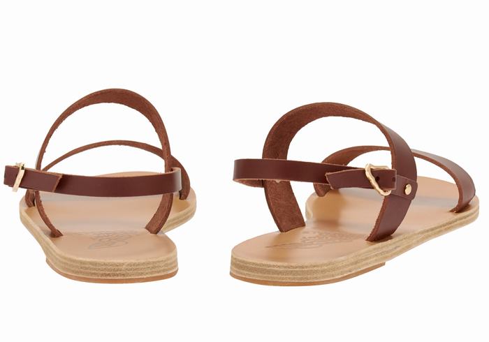 Ancient Greek Sandals Clio Ženske Back-Strap Sandals Kafe | PGB192HD