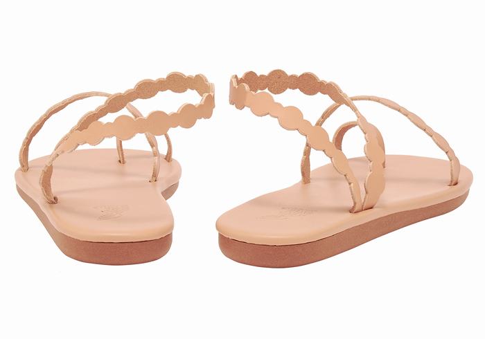 Ancient Greek Sandals Cronos Ženske Toe-Post Sandals Bež | OYE1363GU