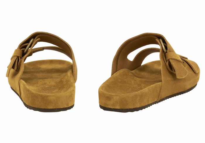 Ancient Greek Sandals Diogenis Muške Papuce Smeđe | IIP6540OU