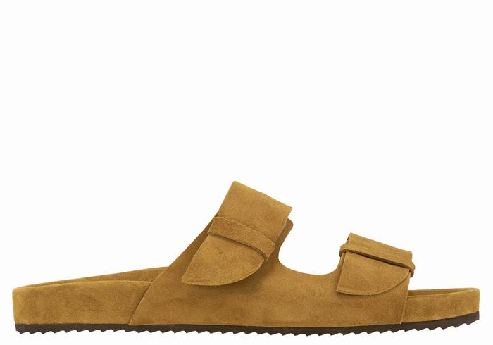 Ancient Greek Sandals Diogenis Muške Papuce Smeđe | IIP6540OU