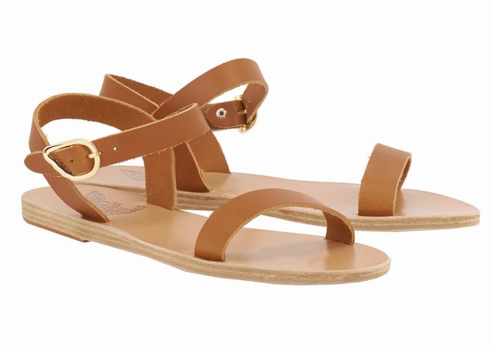 Ancient Greek Sandals Drama New Leather Ženske Casual Sandals Tamno Smeđe | SPR3418AV