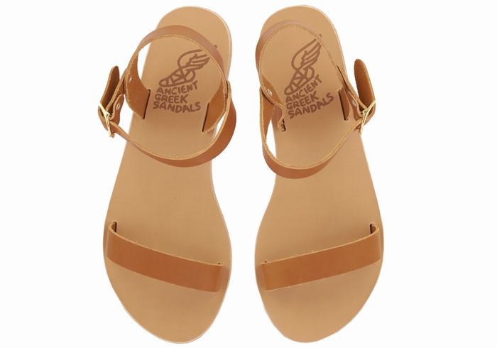 Ancient Greek Sandals Drama New Leather Ženske Casual Sandals Tamno Smeđe | SPR3418AV