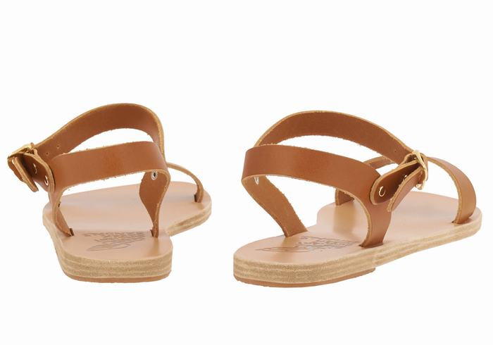 Ancient Greek Sandals Drama New Leather Ženske Casual Sandals Tamno Smeđe | SPR3418AV