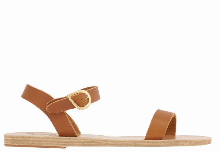 Ancient Greek Sandals Drama New Leather Ženske Casual Sandals Tamno Smeđe | SPR3418AV