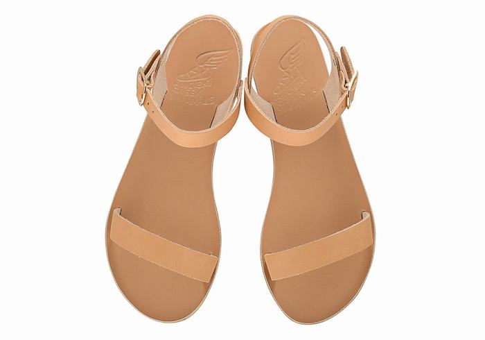 Ancient Greek Sandals Drama New Leather Ženske Casual Sandals Bež | OZV1592XJ