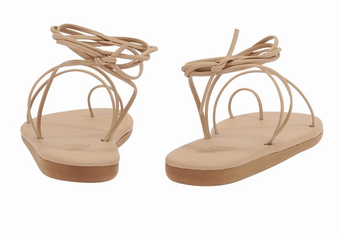 Ancient Greek Sandals Du Ženske Toe-Post Sandals Bež | ZUI349JL