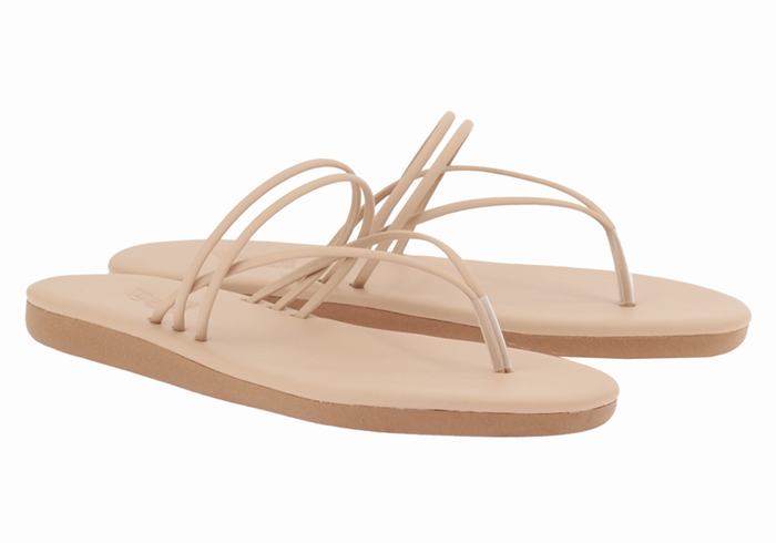 Ancient Greek Sandals E Ženske Japanke Bež | VVT3996ZJ