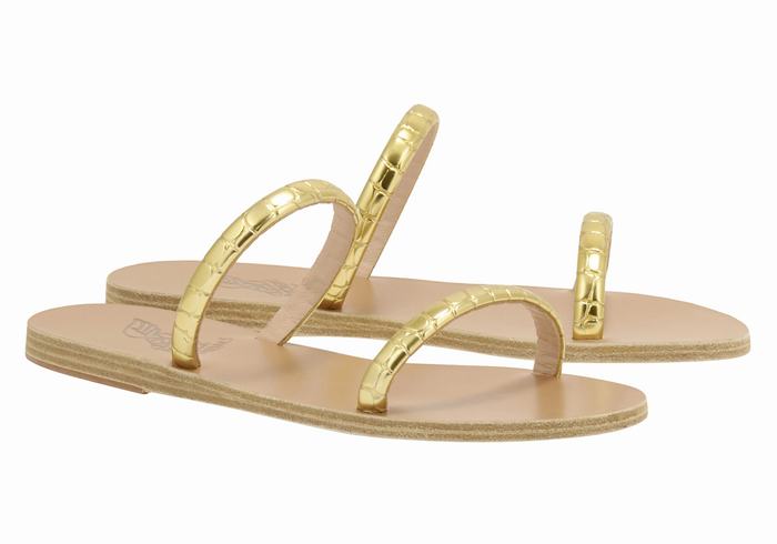 Ancient Greek Sandals Echidna Ženske Slide Sandale Zlatne | HEW242XO