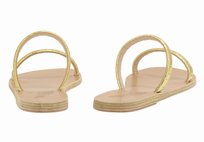 Ancient Greek Sandals Echidna Ženske Slide Sandale Zlatne | HEW242XO