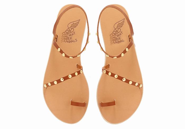 Ancient Greek Sandals Eleftheria Bee Ženske Toe-Post Sandals Tamno Smeđe | UHY1754GW