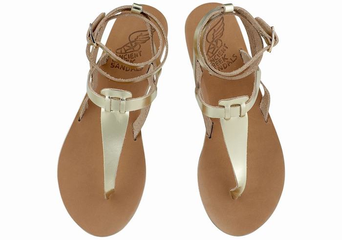 Ancient Greek Sandals Estia Leather Ženske Sandale S Remenom Zlatne Bijele | FST4083WH