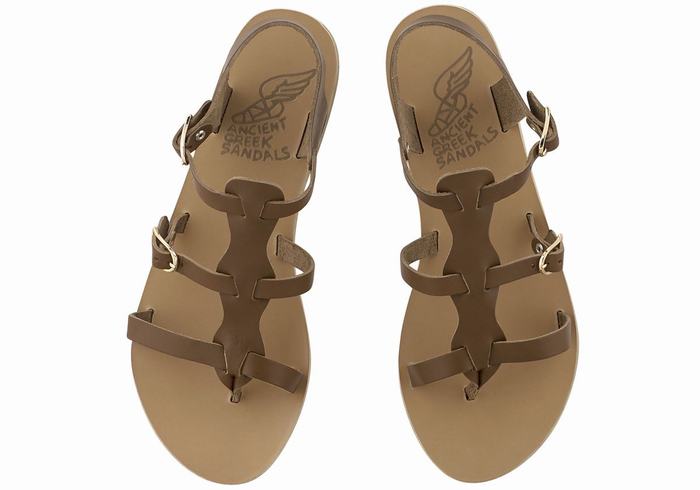 Ancient Greek Sandals Grace Kelly Leather Ženske Casual Sandals Tamno Smeđe | KSI693AH