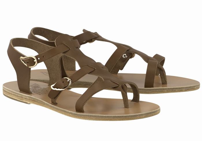 Ancient Greek Sandals Grace Kelly Leather Ženske Casual Sandals Tamno Smeđe | KSI693AH