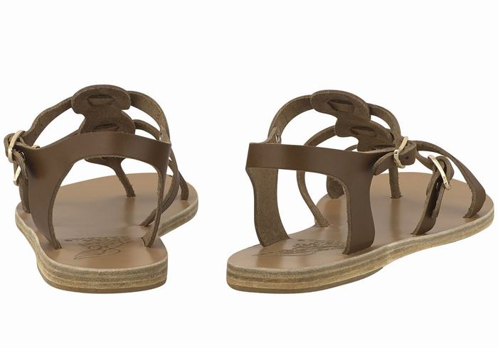 Ancient Greek Sandals Grace Kelly Leather Ženske Casual Sandals Tamno Smeđe | KSI693AH