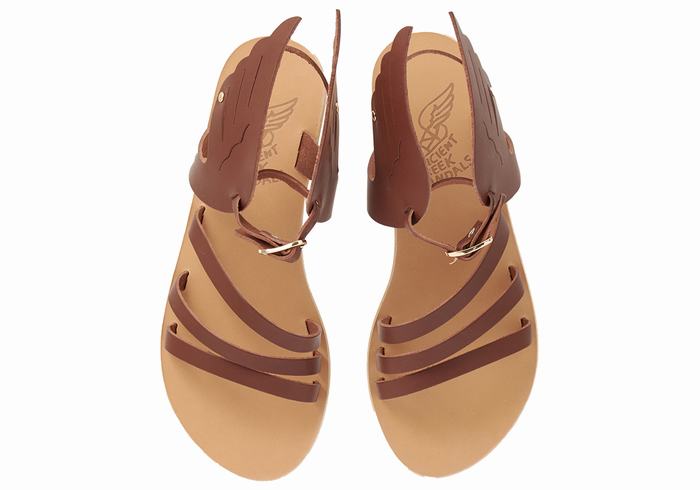 Ancient Greek Sandals Ikaria Leather Ženske Sandale S Remenom Kafe | VDX8442HL