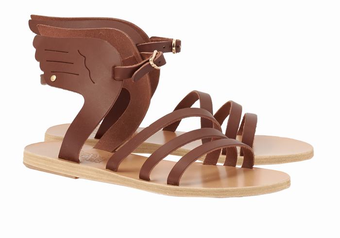 Ancient Greek Sandals Ikaria Leather Ženske Sandale S Remenom Kafe | VDX8442HL