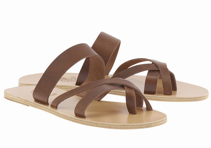 Ancient Greek Sandals Jason Leather Muške Slide Sandale Kafe | PFJ603GR