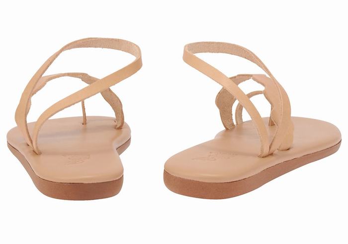 Ancient Greek Sandals Koralia Ženske Toe-Post Sandals Bež | TSB6499GF