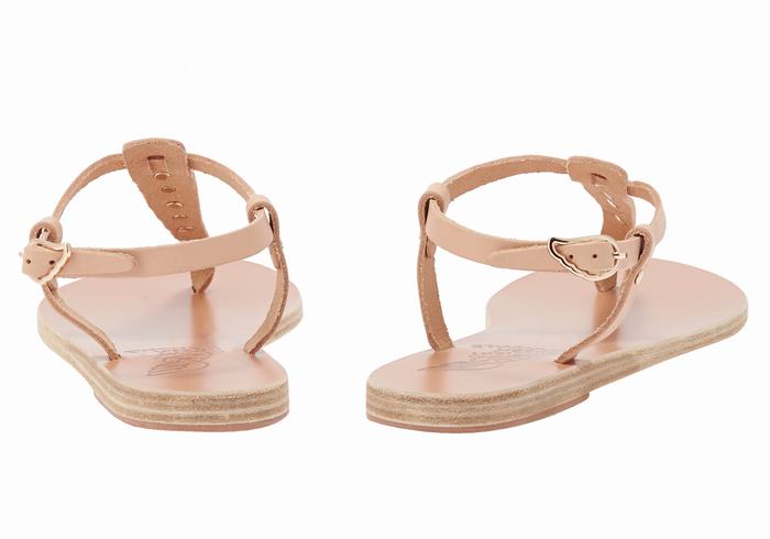 Ancient Greek Sandals Lito Bee Ženske Back-Strap Sandals Bež | IDN3135PH