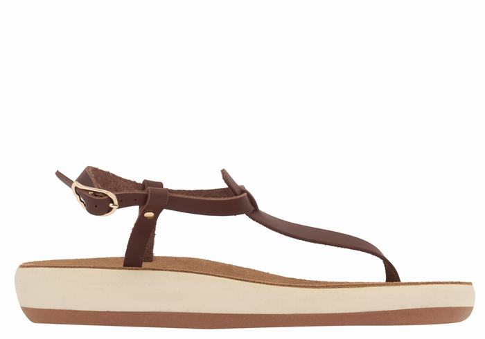 Ancient Greek Sandals Lito Comfort Ženske Back-Strap Sandals Kafe | EFJ7819YN