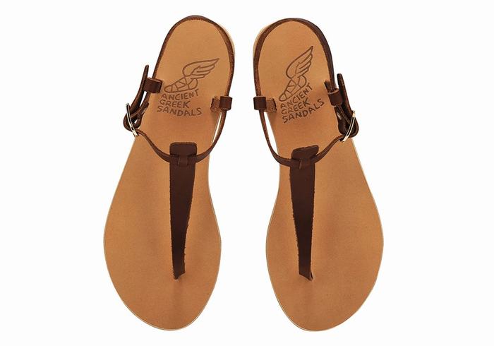 Ancient Greek Sandals Lito Flip Flop Leather Ženske Back-Strap Sandals Kafe | TPP640XF