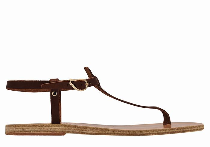 Ancient Greek Sandals Lito Flip Flop Leather Ženske Back-Strap Sandals Kafe | TPP640XF