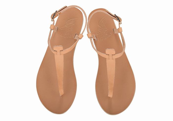 Ancient Greek Sandals Lito Flip Flop Leather Ženske Back-Strap Sandals Bež | HBW2436SZ