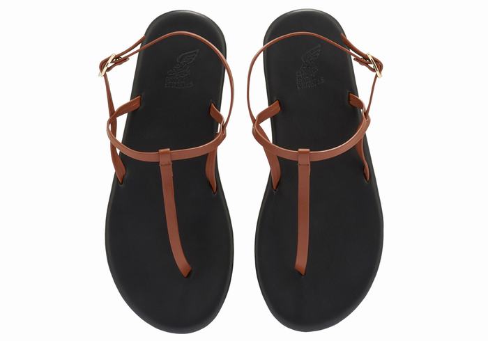 Ancient Greek Sandals Lito Flip Flop Ženske Back-Strap Sandals Tamno Smeđe | LPQ7139LR