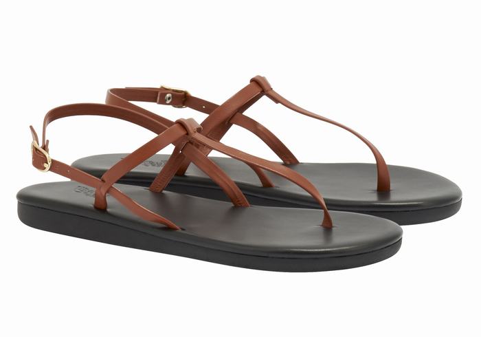 Ancient Greek Sandals Lito Flip Flop Ženske Back-Strap Sandals Tamno Smeđe | LPQ7139LR