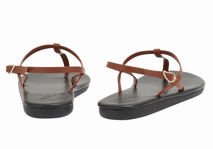 Ancient Greek Sandals Lito Flip Flop Ženske Back-Strap Sandals Tamno Smeđe | LPQ7139LR