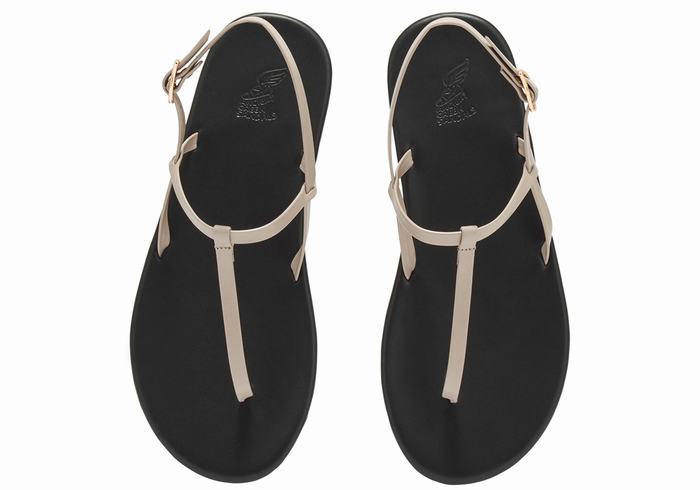 Ancient Greek Sandals Lito Flip Flop Ženske Back-Strap Sandals Sive Smeđe | VIM3255HA