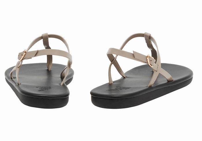 Ancient Greek Sandals Lito Flip Flop Ženske Back-Strap Sandals Sive Smeđe | VIM3255HA